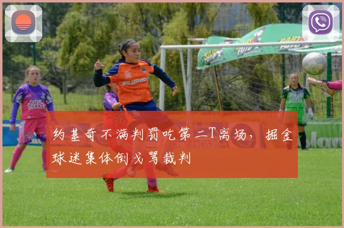约基奇不满判罚吃第二T离场，掘金球迷集体倒戈骂裁判